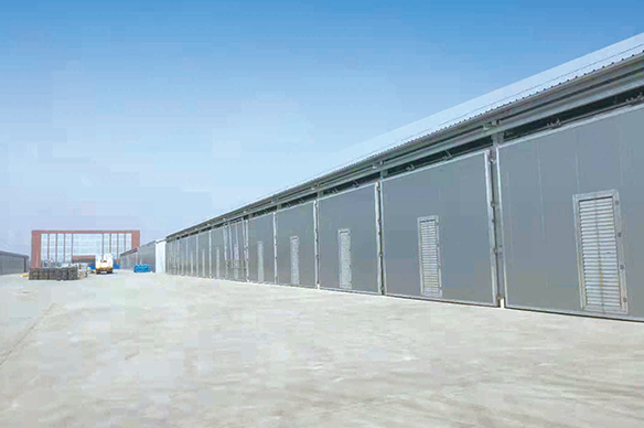 菌菇養(yǎng)殖--安陽(yáng)眾興育菇房