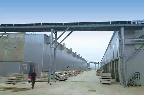 菌菇養(yǎng)殖--安陽(yáng)眾興育菇房